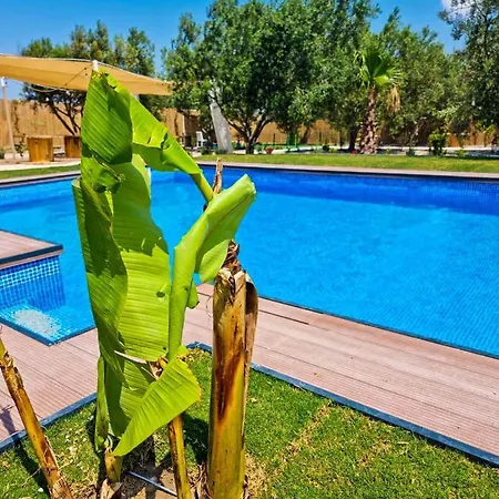 Beka House *