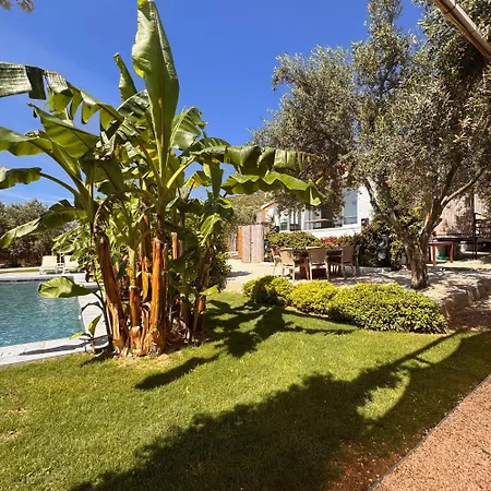 Beka House מלון *