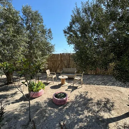 Beka House 阿拉恰特