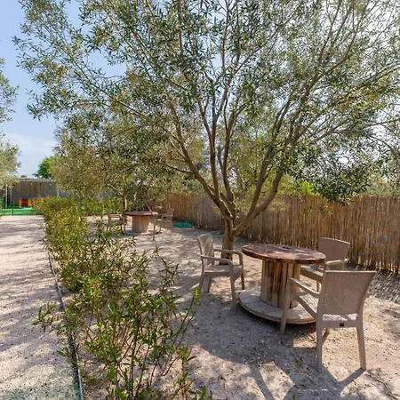 酒店 Beka House 阿拉恰特