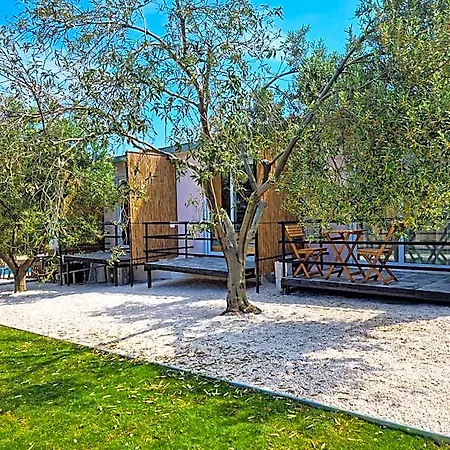 Beka House אלאקאטי