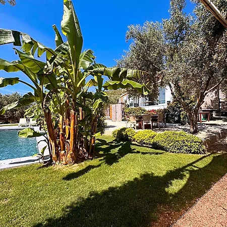 Beka House אלאקאטי